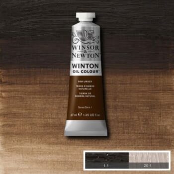 Winton 37ml - Raw Umber 554